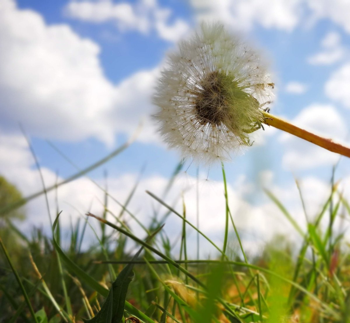 1Picture1Word's tweet image. #hellocloud
#1P1W #1picture1word 📸
#activeemotion 👁️
#battlepicture 🌎 🌍

Every picture tells a story! #Imagine #Photo 📷 #weare1forall
#France
The less you say, the more people remember 😀