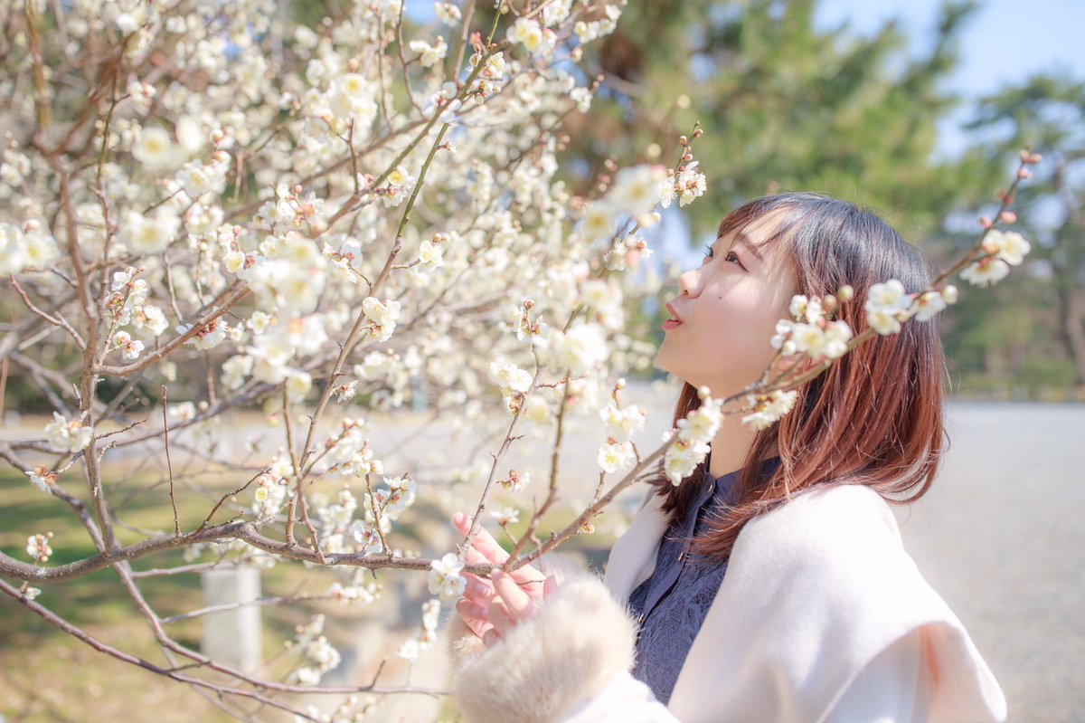 little85_2's tweet photo. 2019/3/2(土)
先日京都で撮ったポートレート(´∀｀*)

#梅
#ポートレート #ポトレ #京都
#写真好きな人と繋がりたい 
#写真撮ってる人と繋がりたい 
#ファインダーの越しの私の世界 
#モデル募集 #被写体募集 https://t.co/QIYbrOuohi