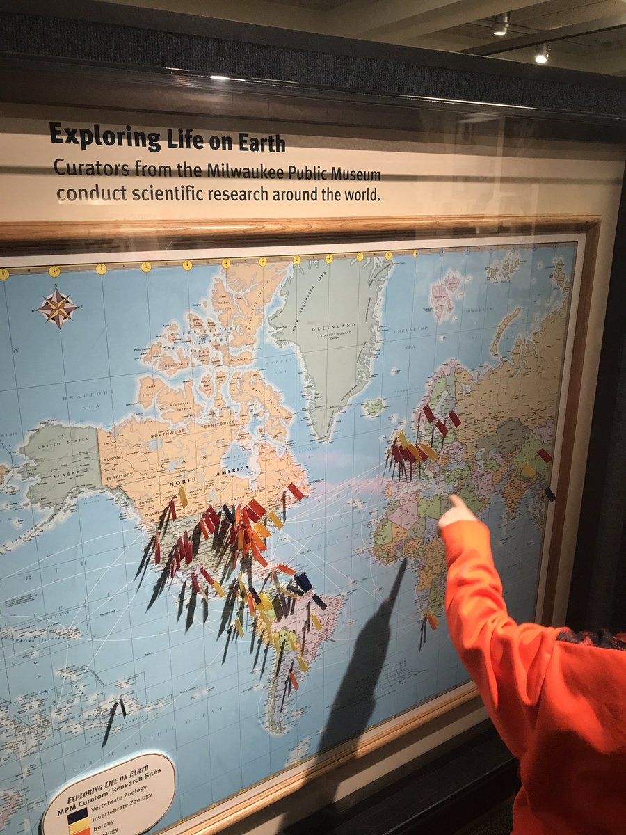 JessicaWalshEdu's tweet image. Our first family trip on the @Amtrak Hiawatha train to Milwaukee to #explore the @MKEPublicMuseum! #MKE @localguides #explorereducator  I added our photos to @googlemaps! Take a look at the photo section to see mine and others’ fave images/360s/videos:
goo.gl/maps/rgyafQCFt…
