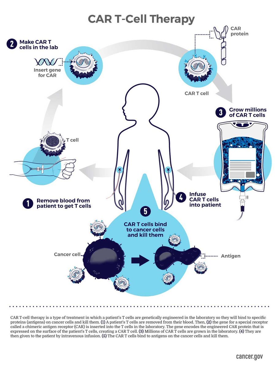 theNCI's tweet photo. With the start of #AACR19, here's our infographic showing the steps for creating CAR T-cell therapy: https://t.co/fh1UYPLh24 #Immunotherapy #immunoonc19 #cartcells https://t.co/KFlWHcAUc0