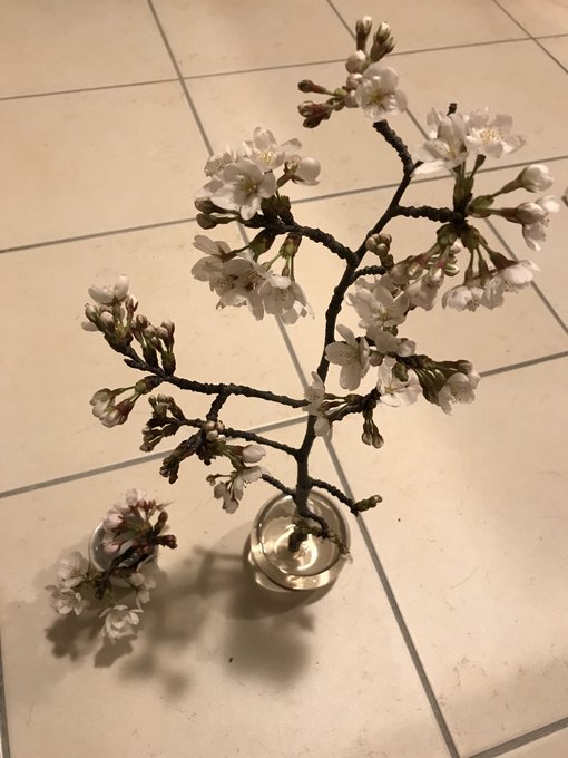 入れないのTwitterイラスト検索結果。