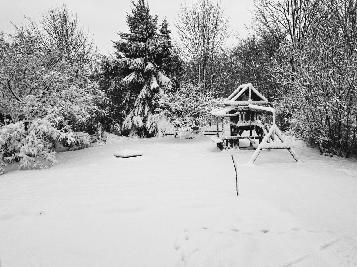 daryldore's tweet photo. First snow of the year:  that is so beautiful.   Let's go outside.

Today: seriously? https://t.co/8Nb4rVIJlx