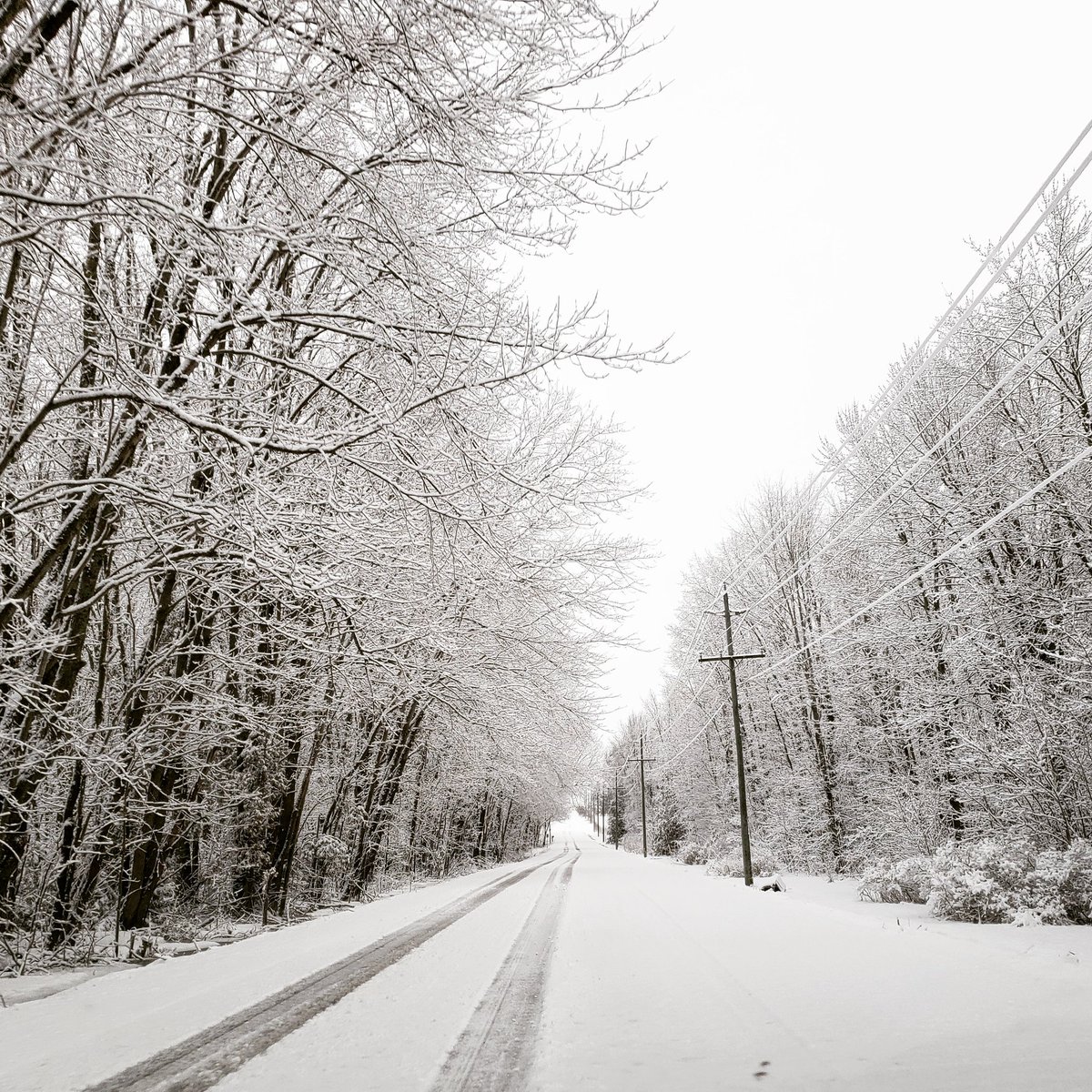 AgilitywAmanda's tweet photo. The #freshsnow is #sopretty ... but it can melt now lol.
#snow #snowy #snowfall #snowland #snowlovers #canadianwinter #canadiansnow #snowflakes #snowlife #winter #canadiansnow #winterwonderland https://t.co/iE4r4NVPkD