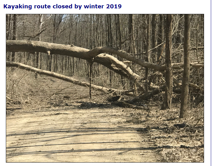 pnc4ever4's tweet photo. I'm not sure the tree is the biggest issue here. I think trying to paddle down a dirt road may be a bigger obstacle. #ColMag https://t.co/Q06BDBV0o8