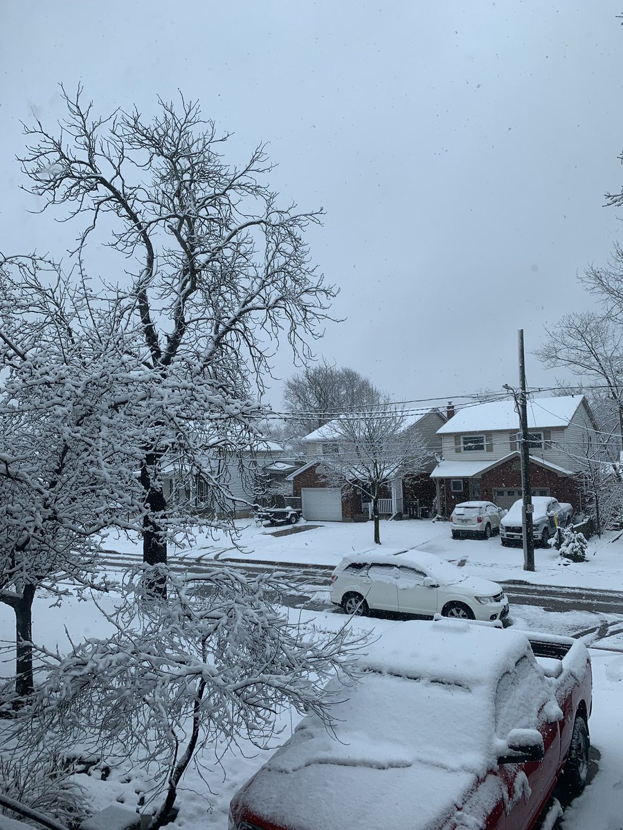 jessalott tweet media