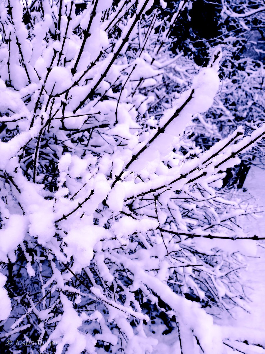 nitsuJrenruT's tweet image. As much as I hate winter it can be really beautiful to look at😍 #snipelife #snipergang #lowkeylife taken with my S9