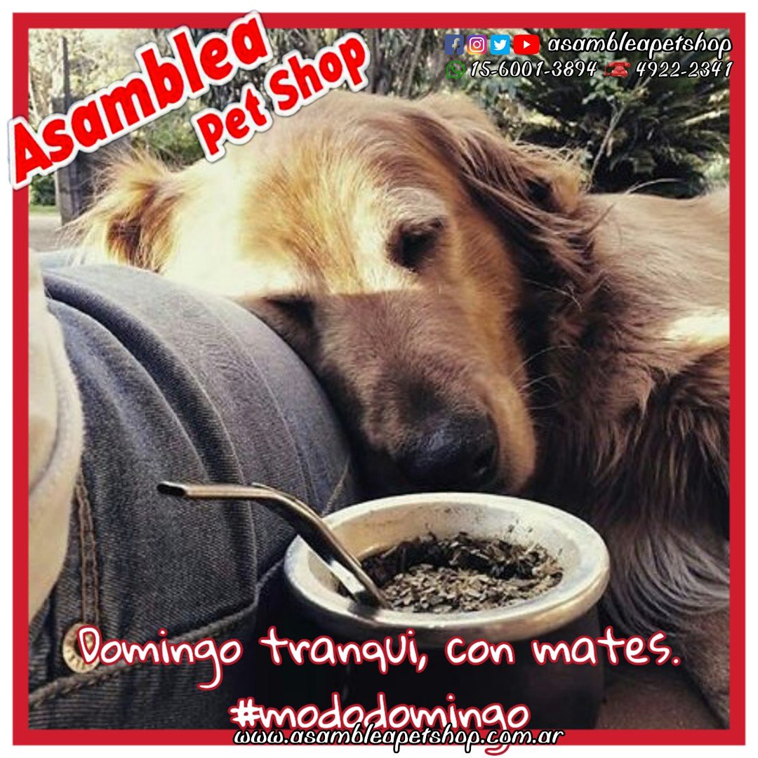 AsambleaPetshop's tweet photo. Hermoso Domingo, que nada te impida disfrutarlo.
•
•
#domingueando
#mododomingo #modofinde
#mateando #ModoFindeSemana
#happyweekends
#pasandolabien
#pasandola
#domingoconamigos
#domingoenfamilia #domingofeliz #felizdomingo •
#aѕaмвleapeтѕнop https://t.co/SiWkDFNmMl