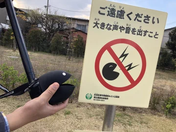 画像 / Picture