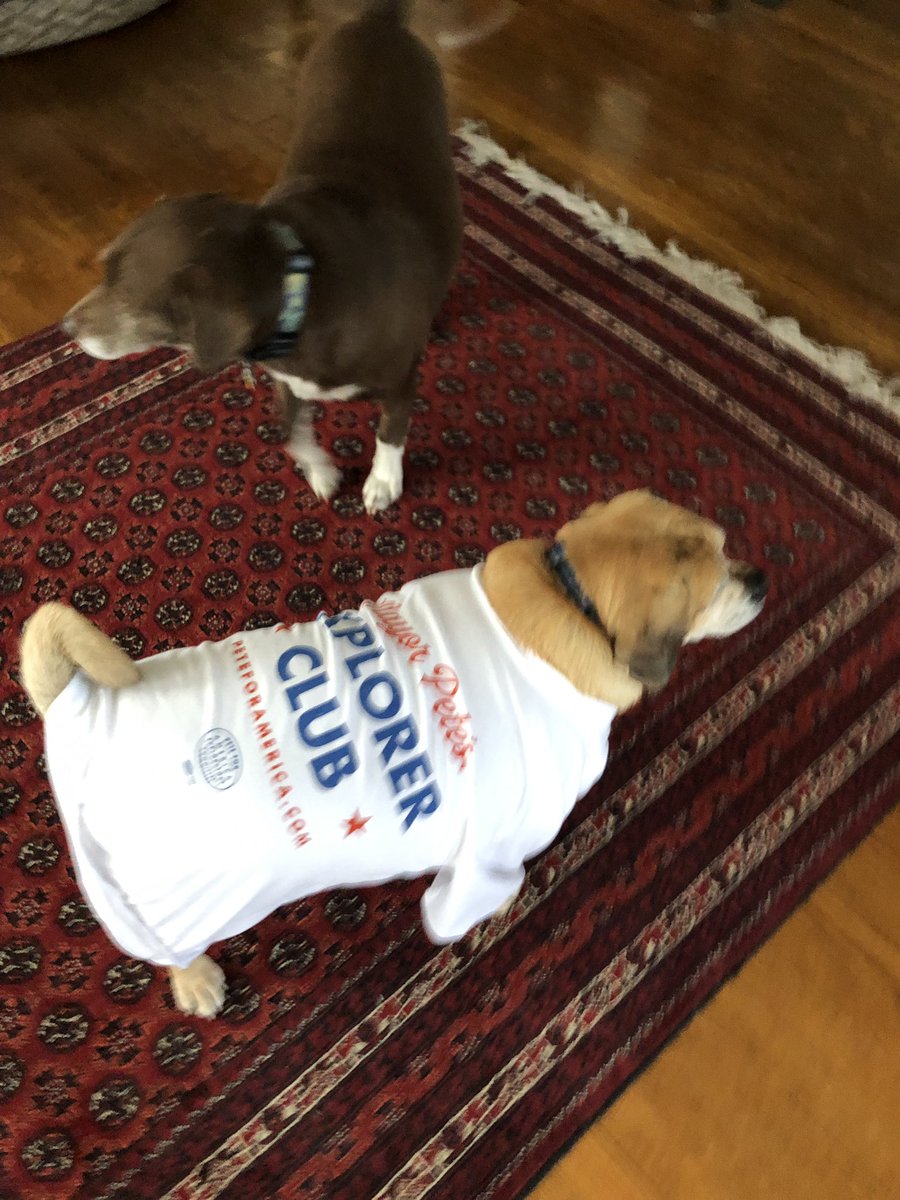 Chasten's tweet photo. Buddy is very excited his shirt arrived https://t.co/3mUTyJ8hlm
