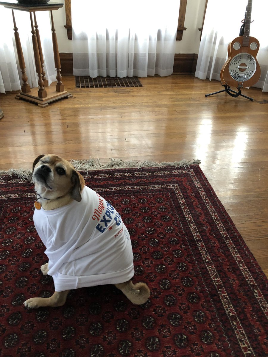 Chasten's tweet photo. Buddy is very excited his shirt arrived https://t.co/3mUTyJ8hlm