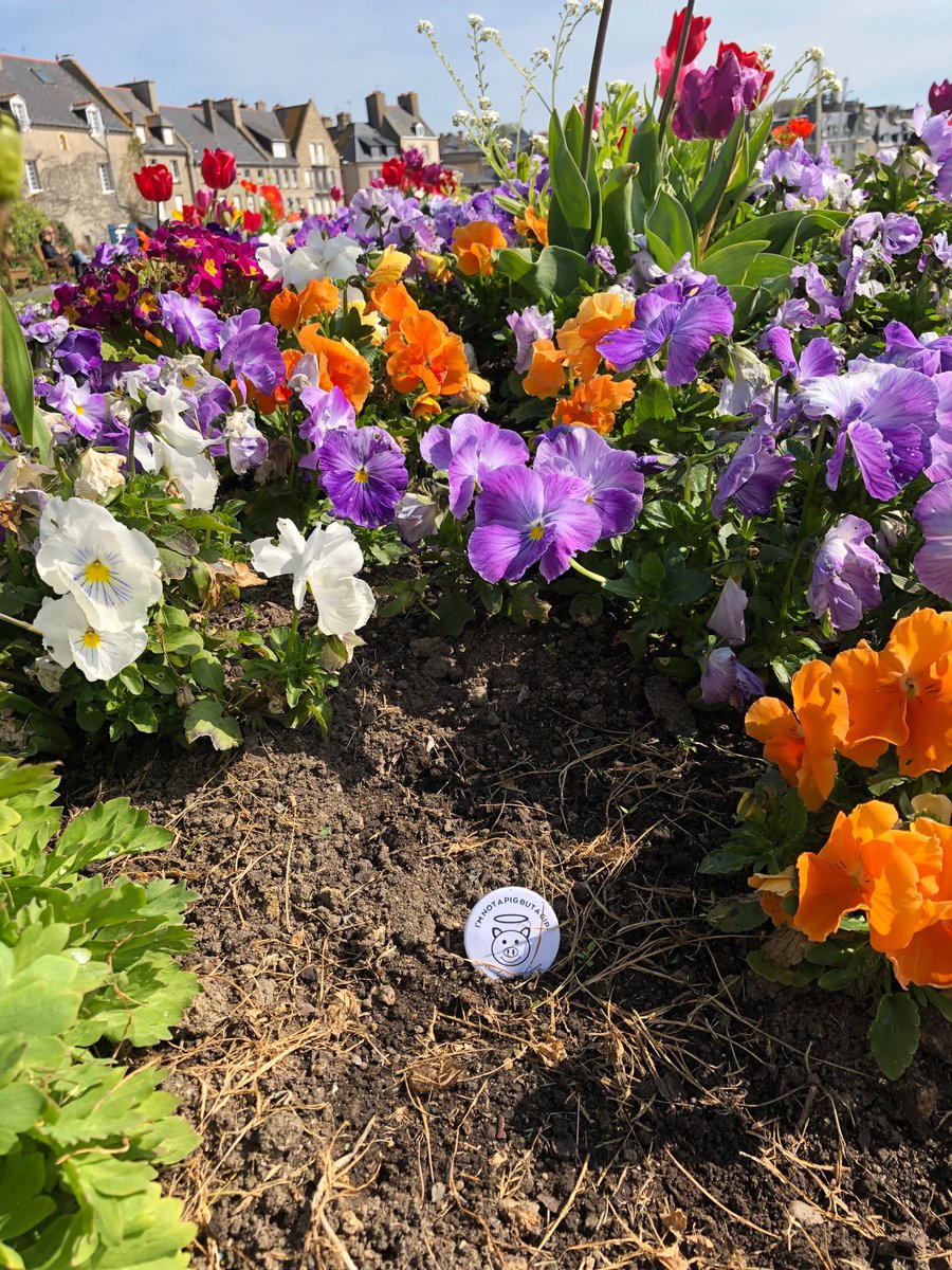 iamnotapig2's tweet photo. C’est le printemps ! https://t.co/5p8f55i3A6