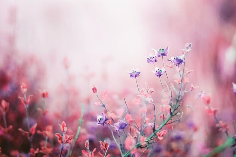 최고의
삶이 아니라도

최악의
삶이 아니라면

인생은
그런대로 고마운 일이지..

비록
최악의 삶일 지라도

희망을 잃지 않고 산다면
인생은
그런대로 살아갈만 하지...