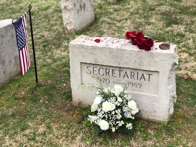 claibornefarm's tweet photo. Secretariat celebrated his birthday yesterday with these beautiful flowers 💐🌼 from one of his fans, GG. His card read 'Happy Birthday in Heaven Big Red. Run Free!' Thank you GG for the special gift! 🎁❤️ https://t.co/QoMDivPMe8