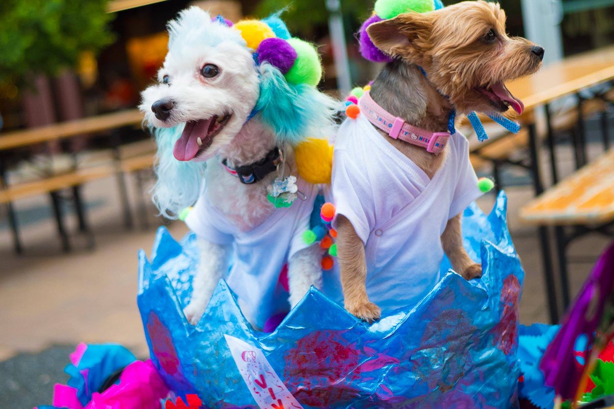 CascaronBash's tweet photo. #SelfieSunday Share your favorite selfie from our previous Cascaron Bash by dropping your picture in the comments below. 

Please support our efforts and sponsor a table or purchase your tickets at https://t.co/nArDBUORtU

#cascaronbash19 #fiesta19 https://t.co/GjRvNVsdEr