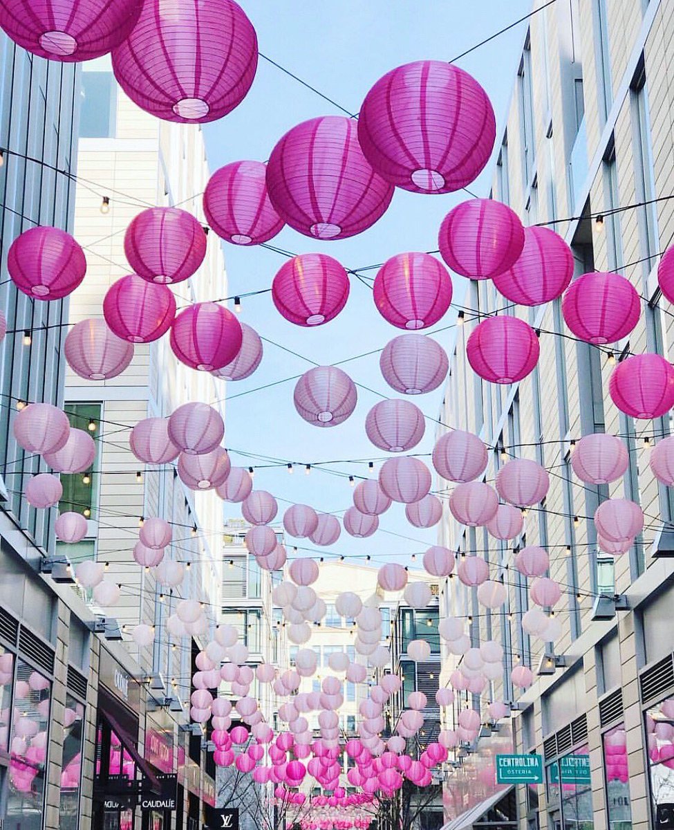 LifeAtLizDC's tweet photo. With peak bloom just around the corner, it’s really starting to feel like spring in the District! 😍 #CityCenterDC #LifeAtLizDC https://t.co/TipuxO9up0