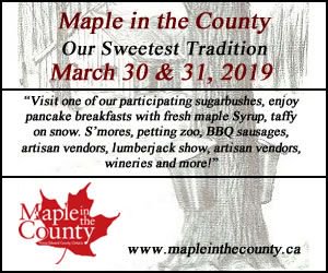 FestivalNomadCA's tweet photo. #Maple in the County saps boiling COME ON OUT TODAY! Celebrate Spring Harvest March 30-31@MapleinPEC #MapleintheCounty #OurSweetestTradtion @VisitTheCounty #taffy #petting zoos #lumberjack show #artisans #Vendors #horses #wagons #pancakes BRING THE FAMILY! https://t.co/qmmGkolKKd
