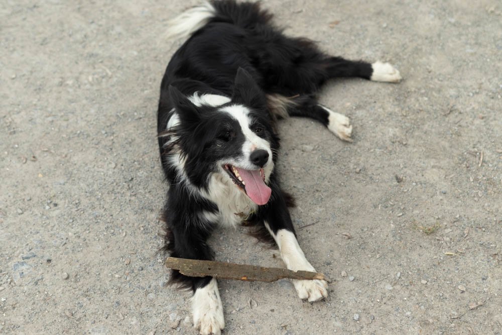 Trinity Space tweet media