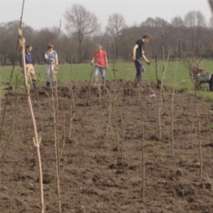 Zieuwent's tweet photo. Landschapsprojecten Zieuwent https://t.co/KMtxCV4JL3 https://t.co/imX5A2Gx0B