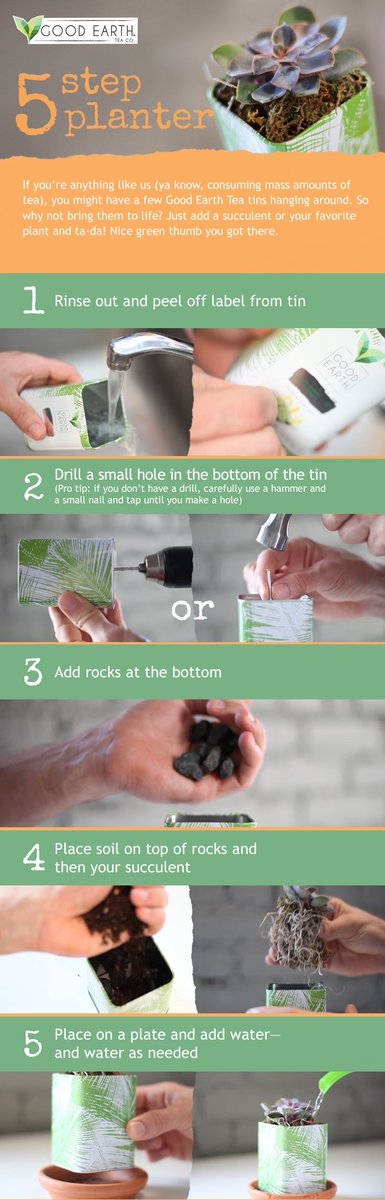 GoodEarthTea's tweet image. Breathe new life into your tea tins with our DIY Planter! It’s as easy as 1-2-TEA! (well, 5 steps, but who’s counting?)
 
Full instructions at: goodearth.com/teaventure/DIY…