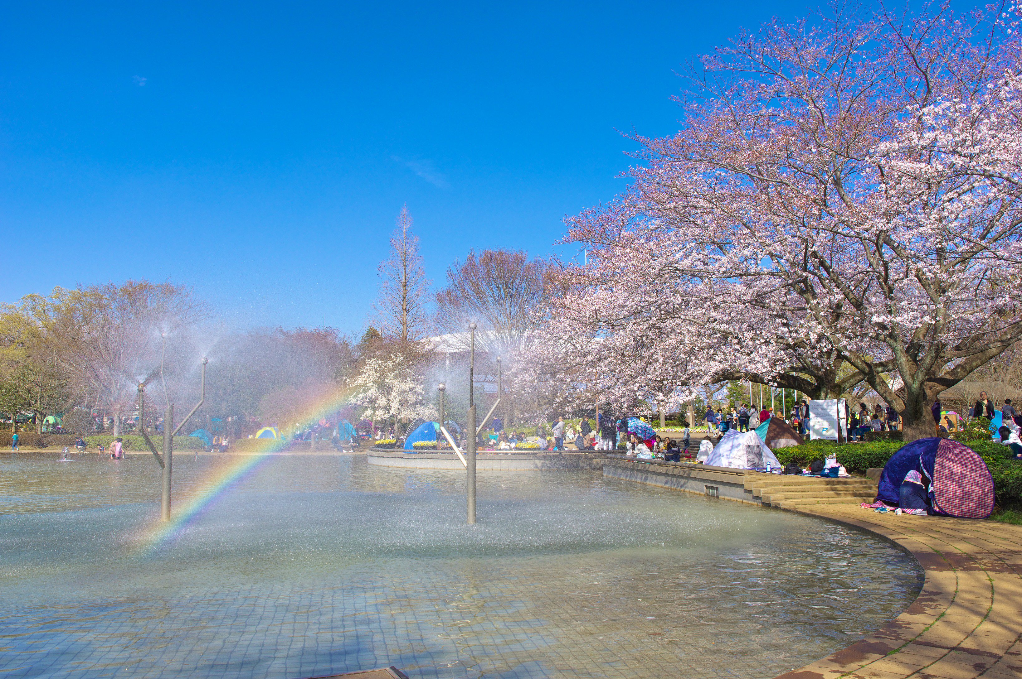 こうへい ちばの人 今日行った船橋アンデルセン公園 桜が7分咲きくらいでとてもきれいだったよ 青空に良く映えるね T Co Kaosfhcg6f Twitter