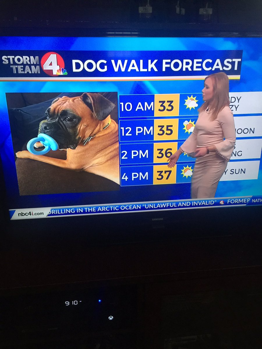 Toby made the morning news.  He melts my heart❤️