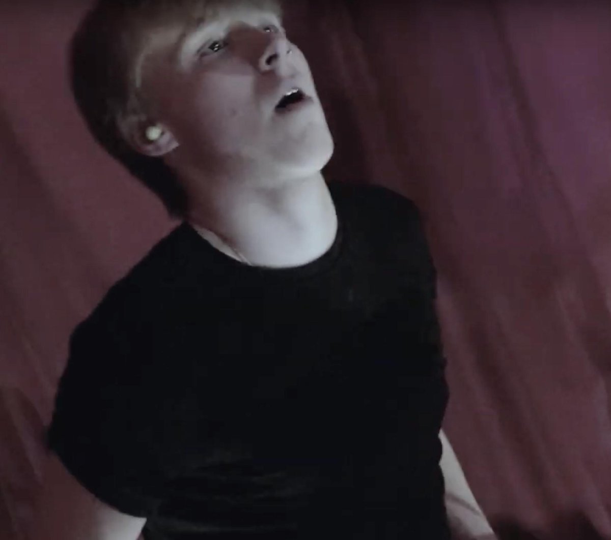 HÆMARIA tweet media