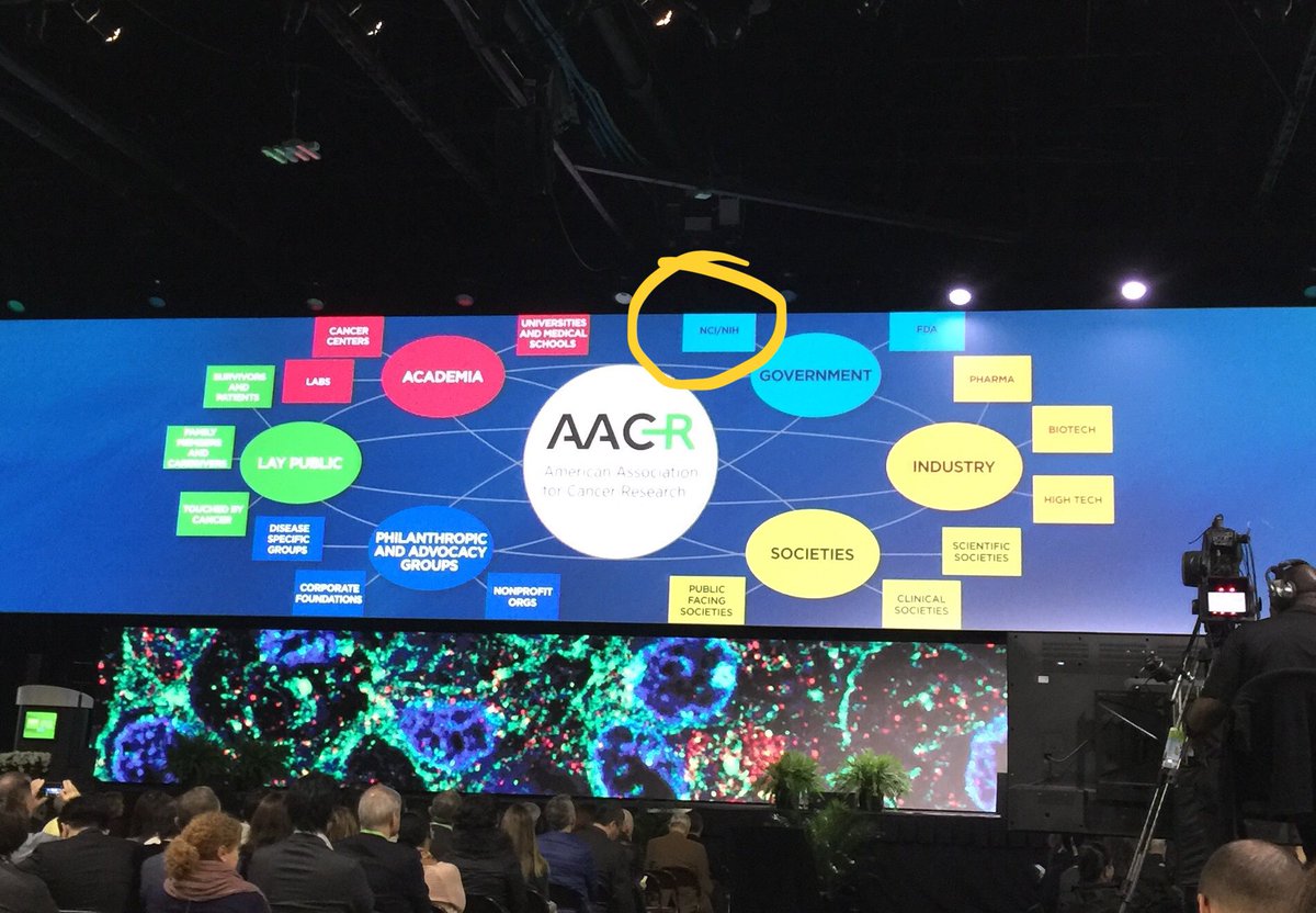 KellyLawhead's tweet photo. @theNCI is certainly a part of the AACR network #AACR2019 https://t.co/jGtwXdlz0x
