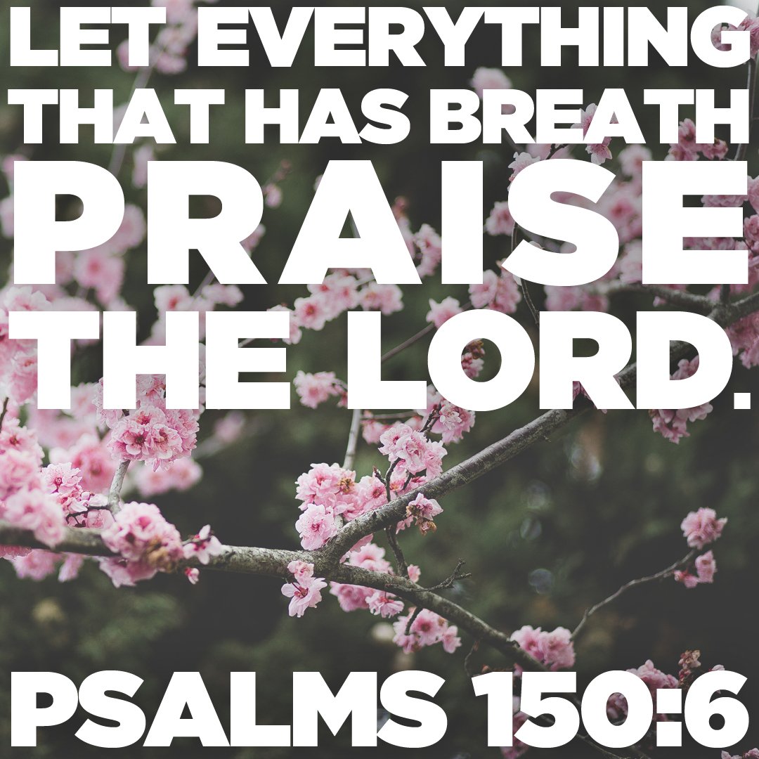 RIORevYouth's tweet photo. Spring always reminds me of the new beginnings we can experience through God's grace. Through the Blood of Jesus, grace has been given to us! Don't take that for granted! If you have breath in your lungs, praise the Lord! He is worthy of our praise!
#Revyouth #Relationship #Jesus https://t.co/5cUI4OYgs9
