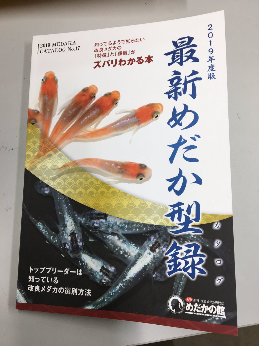 メダカの本屋さん 業者様卸大歓迎 Medakanohonya Twitter