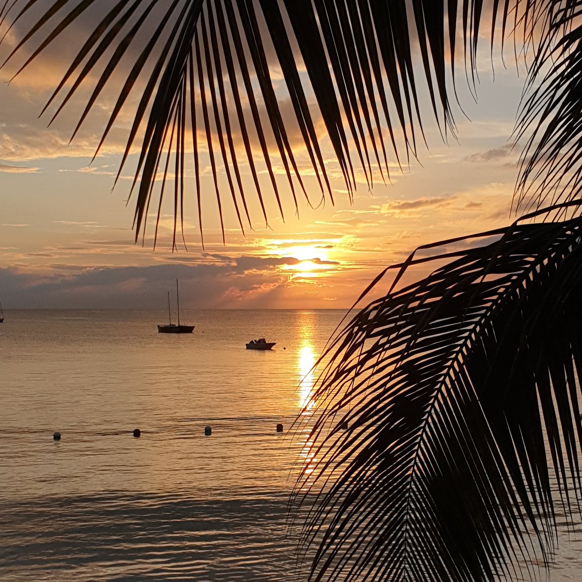 ste19's tweet image. What a sunset 🇯🇲💚