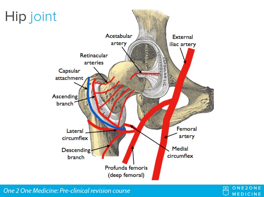 One 2 One Medicine tweet media