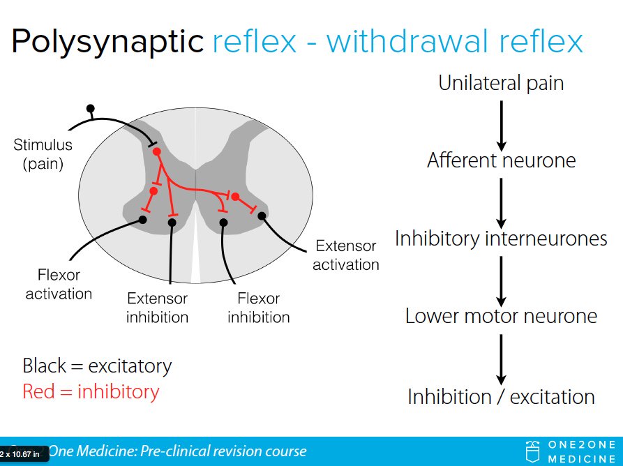 One 2 One Medicine tweet media