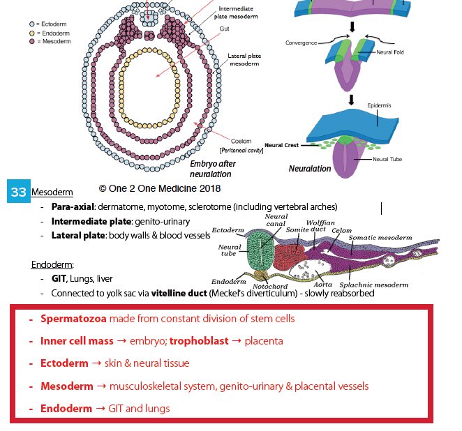 One 2 One Medicine tweet media