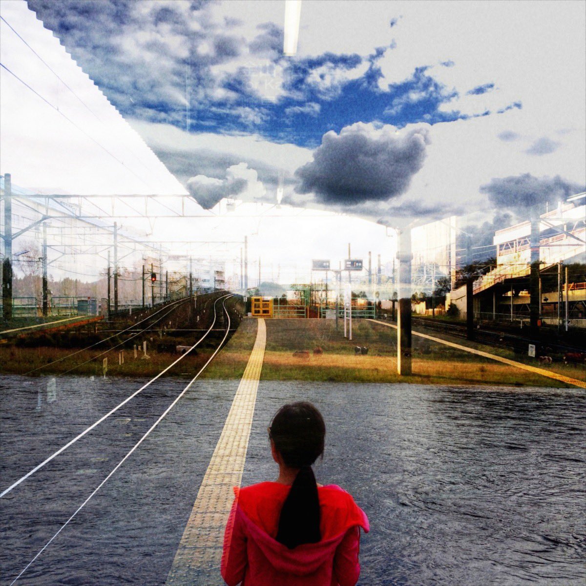 lomomaria89's tweet photo. I made many dubble photos. Thank you for the nice app! ! #dubbleapp https://t.co/tUS0ntnCmb