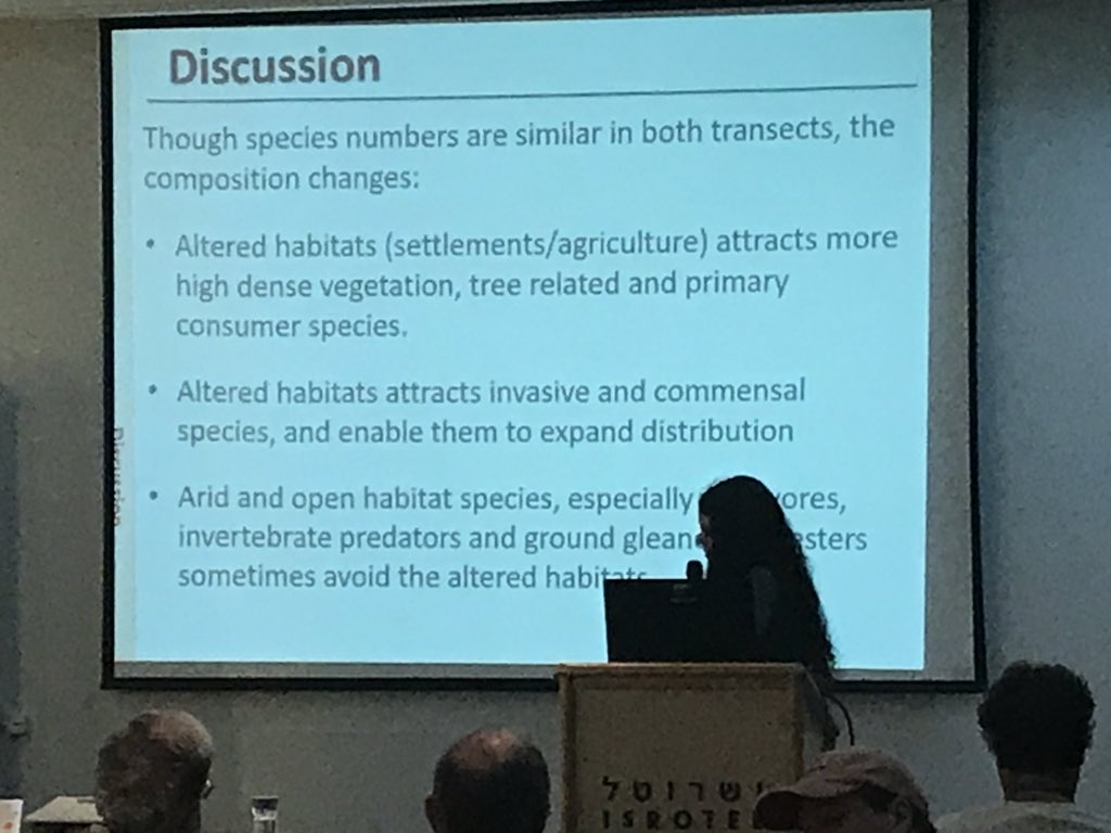 IBOC2019's tweet image. Humans and birds don’t always mix. Hamutal Friedman explains the challenges faced by birds in an increasingly developed Israel. #IBOC2019