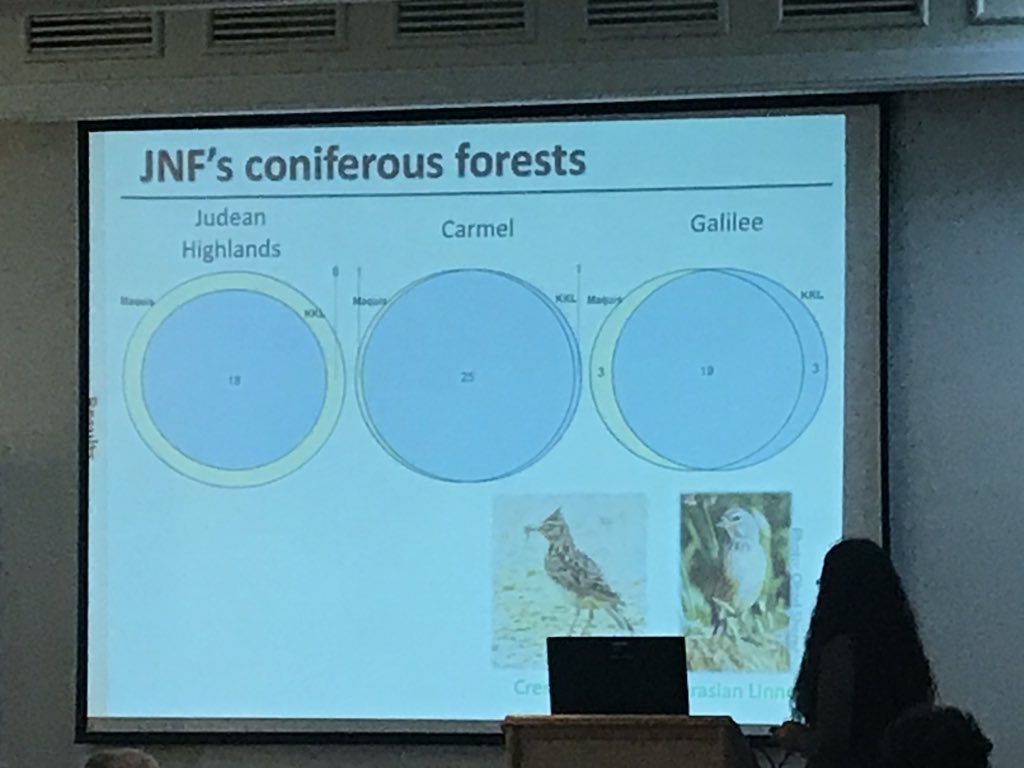 IBOC2019's tweet image. Humans and birds don’t always mix. Hamutal Friedman explains the challenges faced by birds in an increasingly developed Israel. #IBOC2019