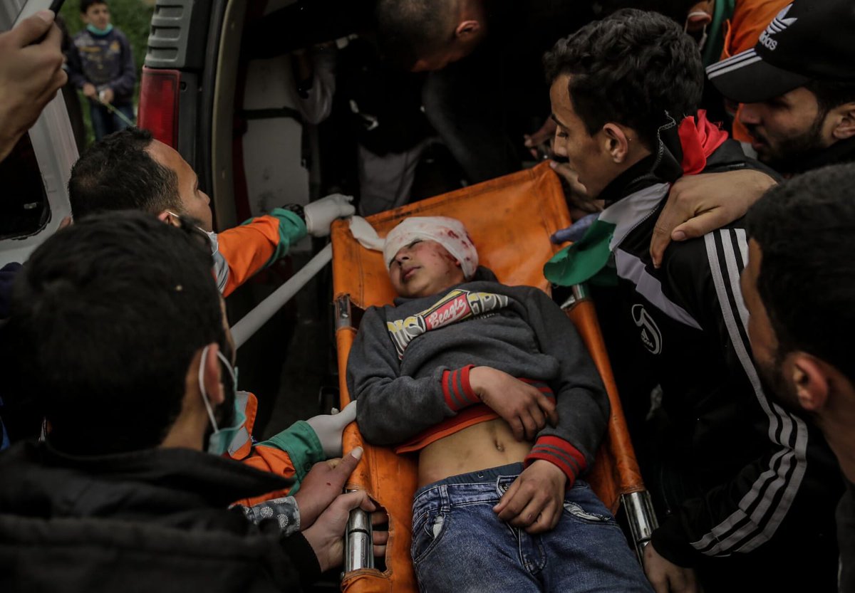 Palestine In All Languages tweet media
