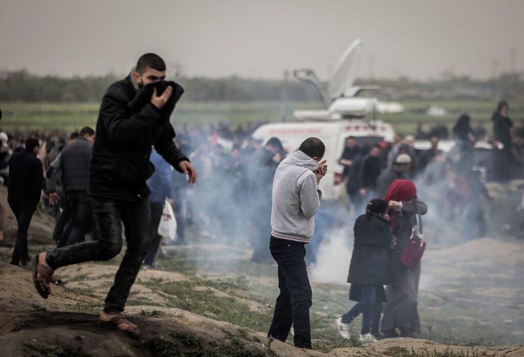 Palestine In All Languages tweet media