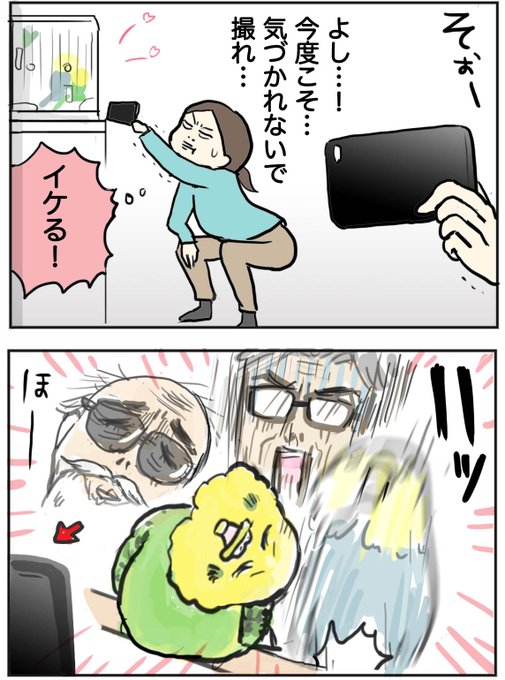 インコブログのtwitterイラスト検索結果