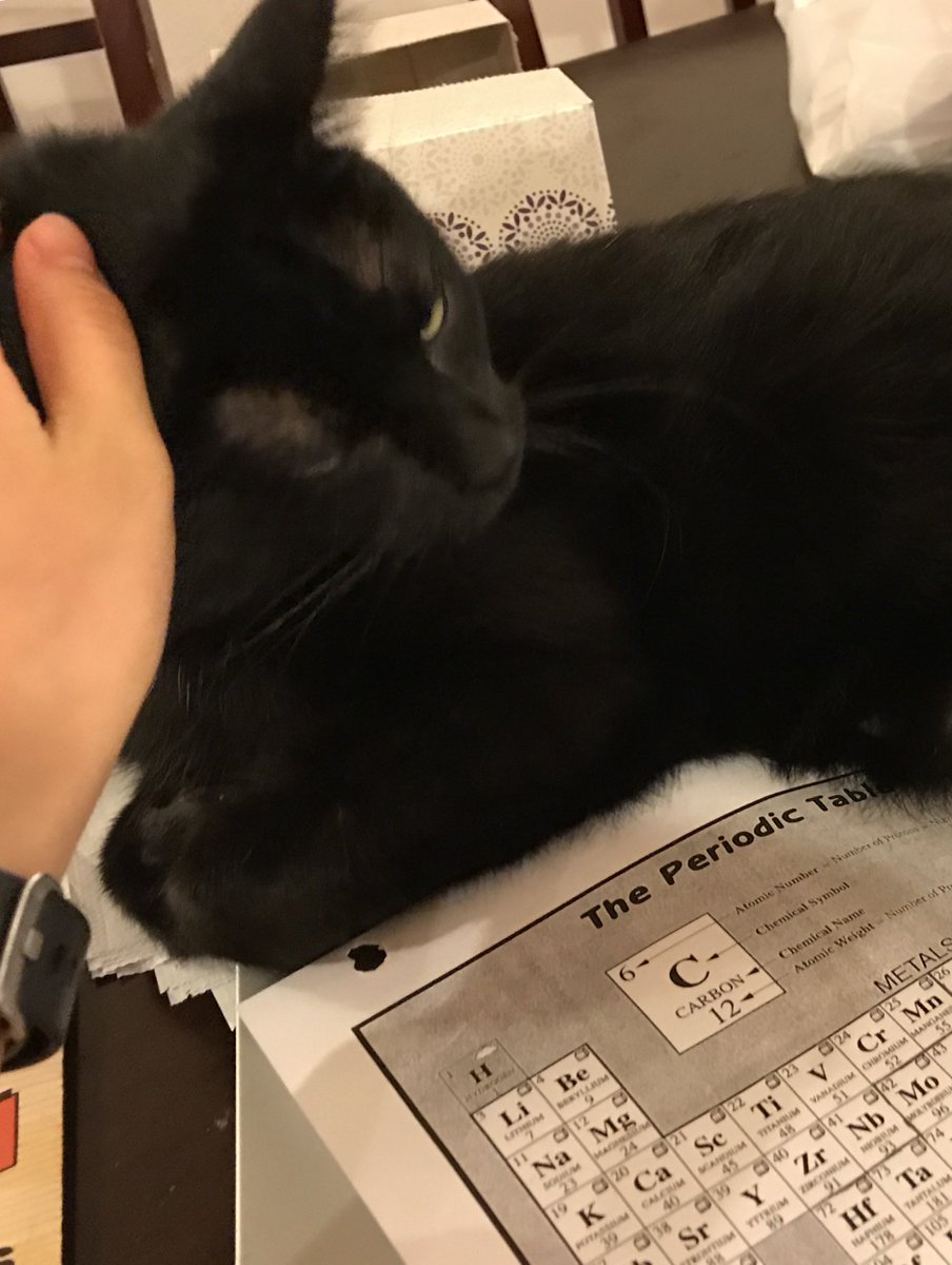 maredimare's tweet photo. Love when I open my email on a weekend & receive fun facts, interesting videos or "their" real world ties to our curriculum
"So I was just studying my periodic table and i realized my cat was made of Tantalum & Cobalt. His name is TaCo my cats real name." #mcallchat #sciencisfun https://t.co/EoHZftnC8B
