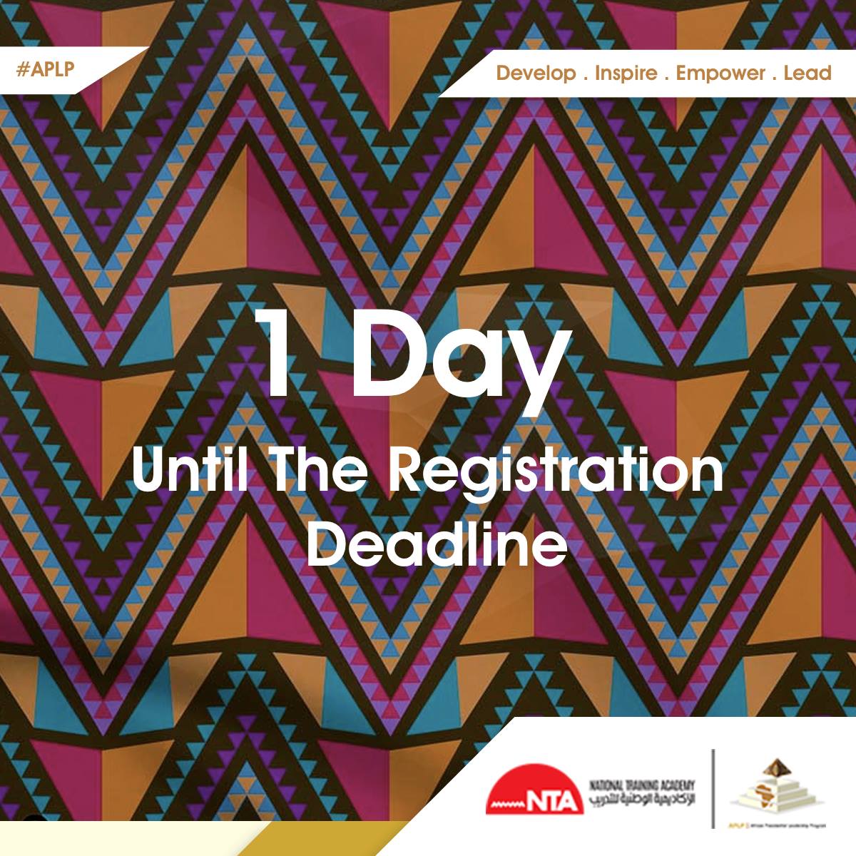 African Presidential Leadership Program tweet media