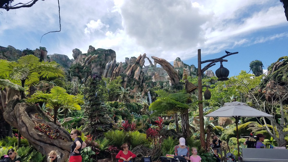 RichFlemming's tweet photo. Avatar ride is amazing https://t.co/uByxrlKjSc