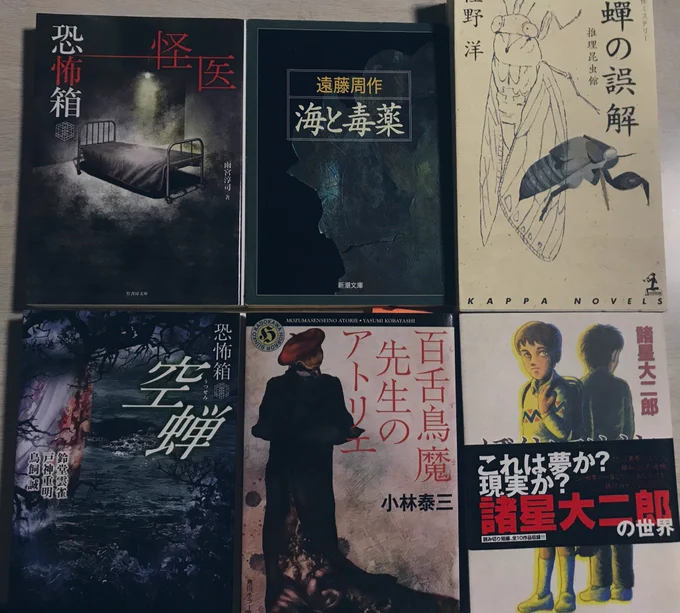 #我が今月読んだ本  海と毒薬、有名な生体解剖実験の小説だが冒頭章の町医師の毛の生えた太い芋虫のような指に触診されて(前の医者と違う…)とビクビク怯える患者の描写がえっちでよかったです(は…?) 恐怖箱のシリーズは好きでちょこちょこ買ってる 諸星先生のは「ぼくとフリオと校庭で」漫画 