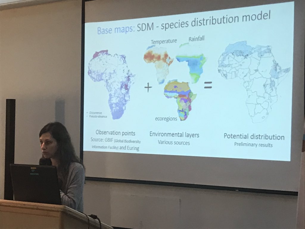 IBOC2019's tweet image. Where do birds flying through Jerusalem Bird Observatory  overwinter? Taz Raz puts stable isotopes to the test in Africa for a number of migratory birds! #IBOC2019