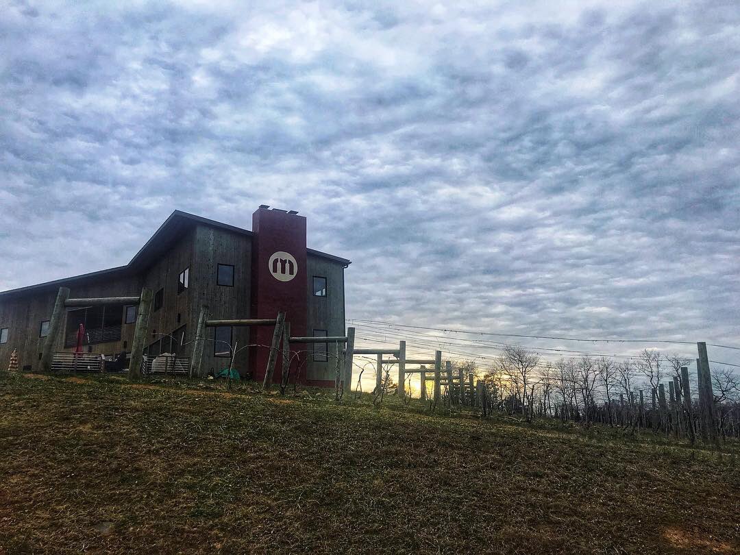 MuseVineyards's tweet photo. #museviews come take in the views with wine and lunch in our tasting room.🍷🧀
Specials:
•Chicken Pesto Melt Panini w/chips
•Cream of Wild Mushroom Soup
OPEN 12-6pm
#sundayfunday #vineyardviews #SundaySunsets https://t.co/Xsj3sDIwyB