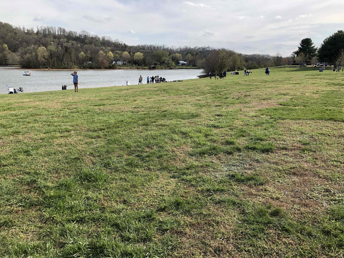 SE_ASCE2019's tweet photo. This pic is from yeaterday’s lawn at LPP AFTER the last canoe race. Notice anything? Me neither! Thanks to all 1,000 of you who left the park cleaner than you found it! #ASCEstudentscare https://t.co/iBoSZlzfpQ
