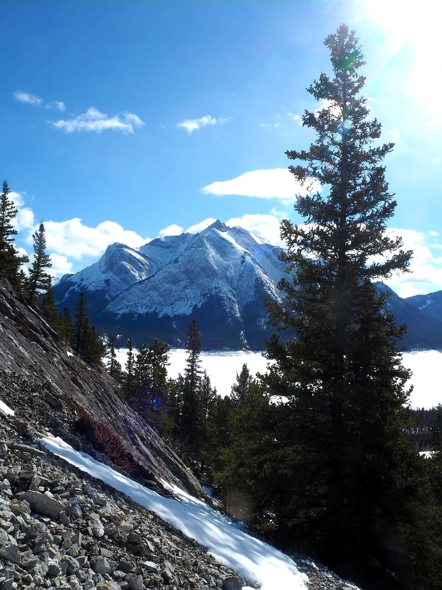 expansecottages's tweet photo. Via Ferrata Climb @ Mount Stelfox overlooking Abraham Lake ๐คฉ๐คฉ
#whattodoinnordegg #viaferrata #mountstelfox #mtstelfox #getoutside #discoveralberta #dtcountry #explorealberta
#nordeggadventures #albertaadventures #discovernordegg #nordegglife https://t.co/dx64hJWo9o