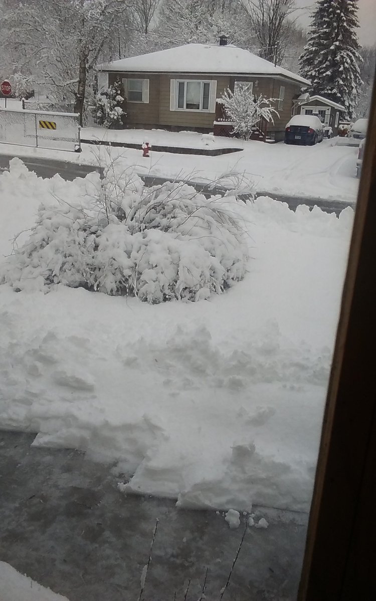 SickSpaceHair's tweet photo. What the fuck is this bull shit????? It was spring yesterday now its back to winter? Fuck this im going back to hibernation #fuckyousnow #springincanada https://t.co/Gil9Z2qO0X