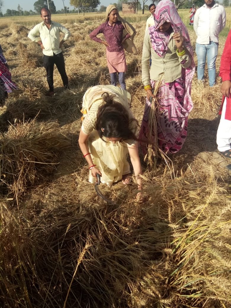 dreamgirlhema's tweet image. Began my Lok Sabha campaign today with the Govardhan Kshetra where I had the opportunity to interact with women working in the fields. A few fotos  for u of my first day of campaign