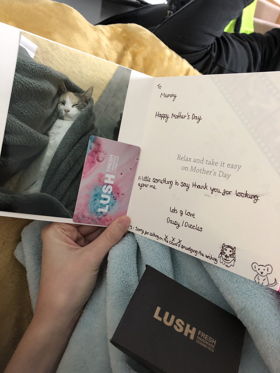 emmychar's tweet photo. @LushLtd voucher from my furrbaby #furrbabymama 😻😻 https://t.co/t20TS5NNrs